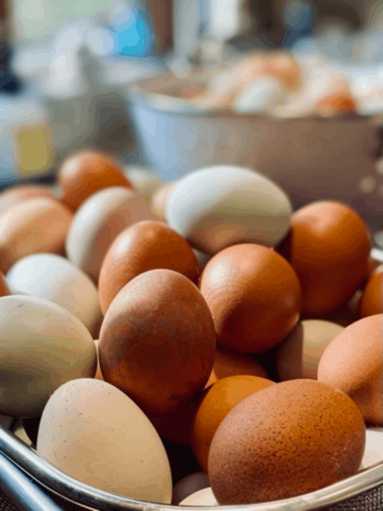 multi-colored eggs in colander