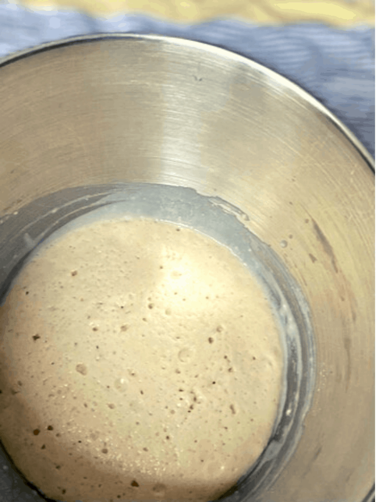 metal mixing bowl with dough sponge inside
