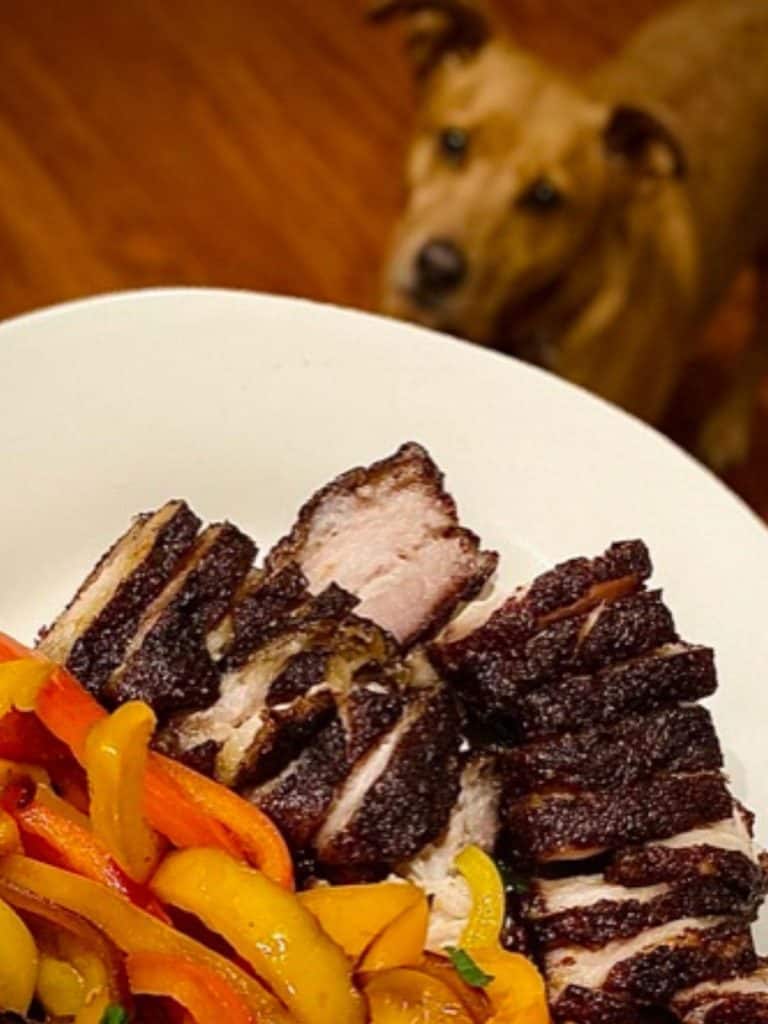 plate of cooked pork belly and peppers in foreground with dog staring in background