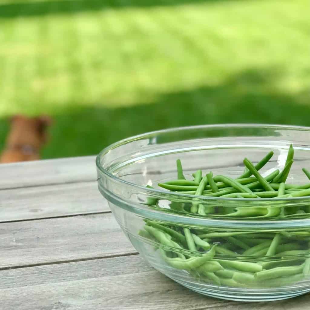 glass bowl of fresh green beans on picnic table