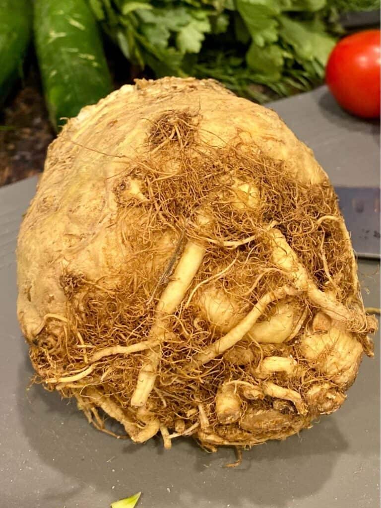 celery root on cutting board