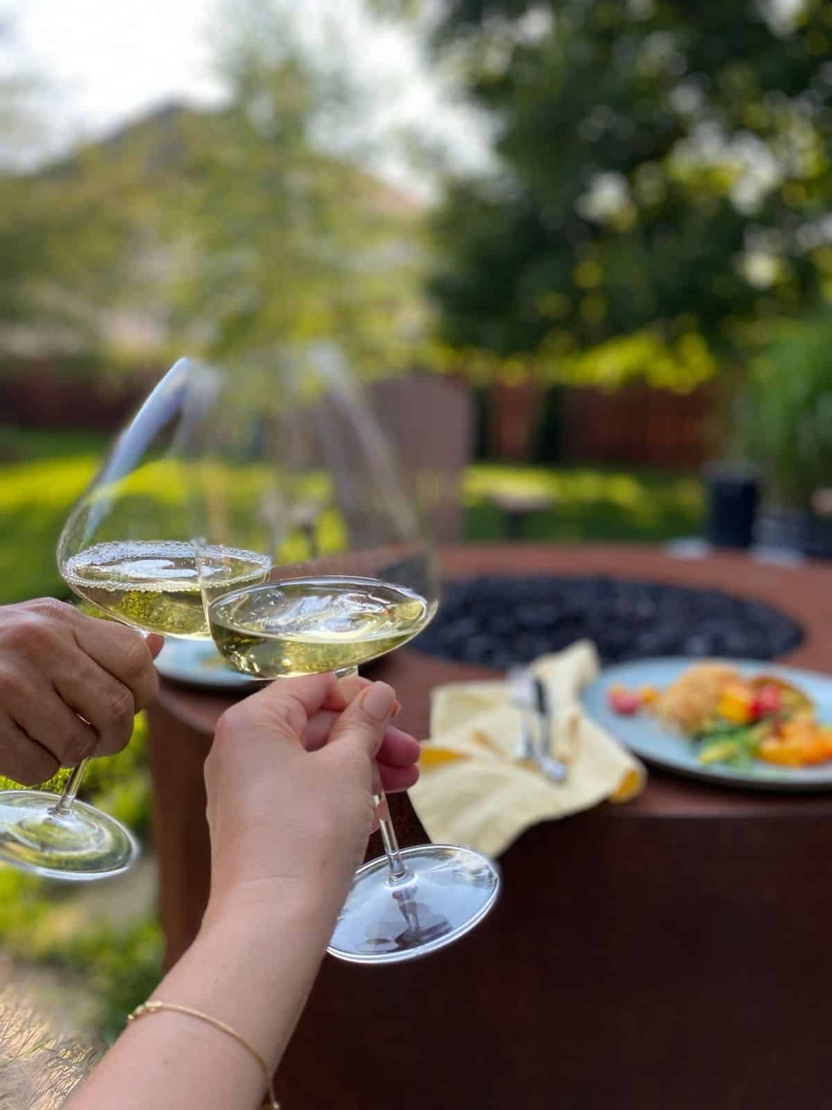 toasting with 2 wine glasses before dinner