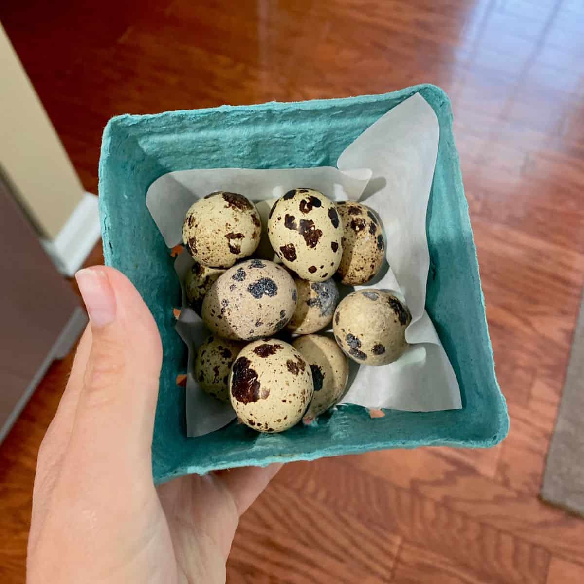 hand holding green container of fresh quail eggs