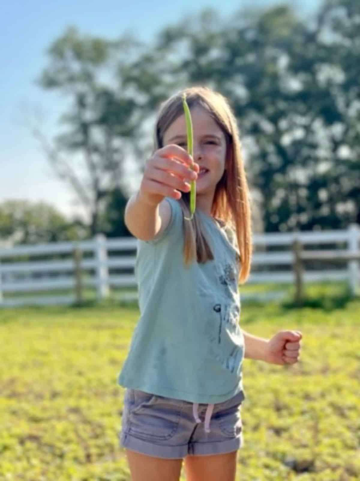 little girl holding freshly picked green bean out in front of her