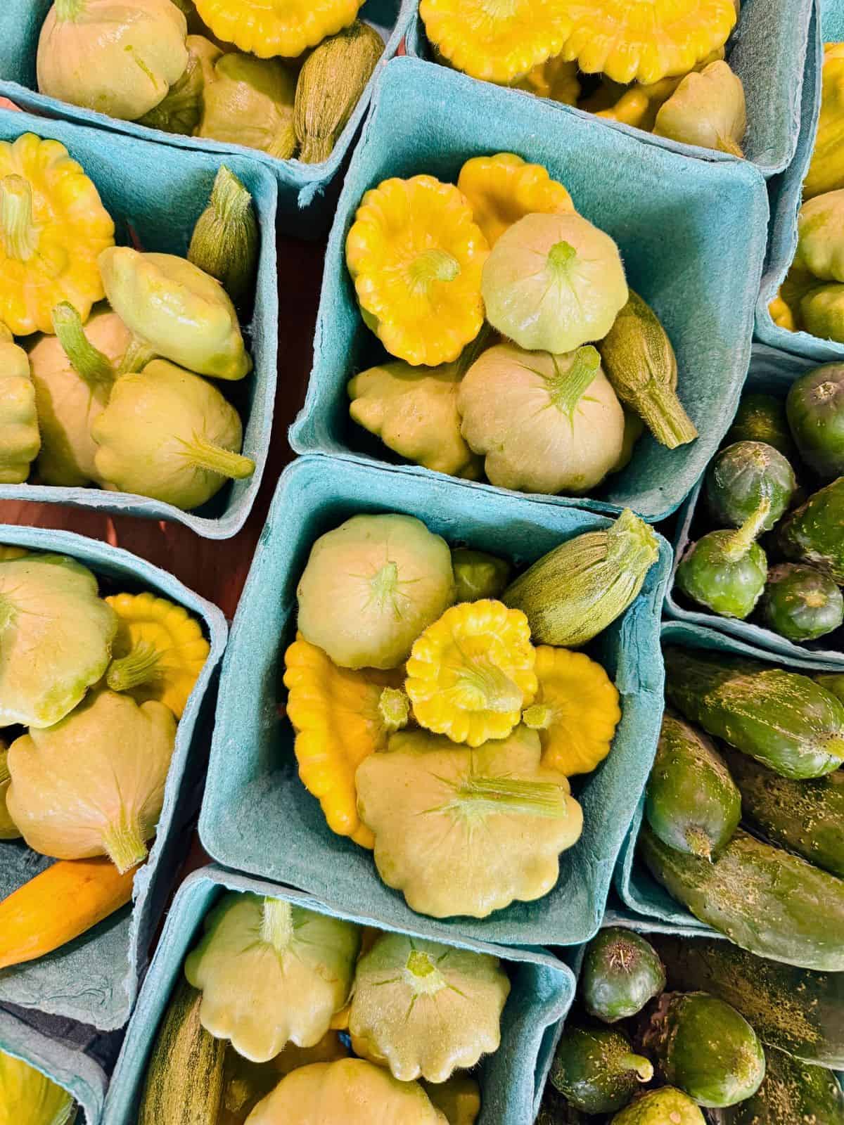 baby squash and pickling cukes