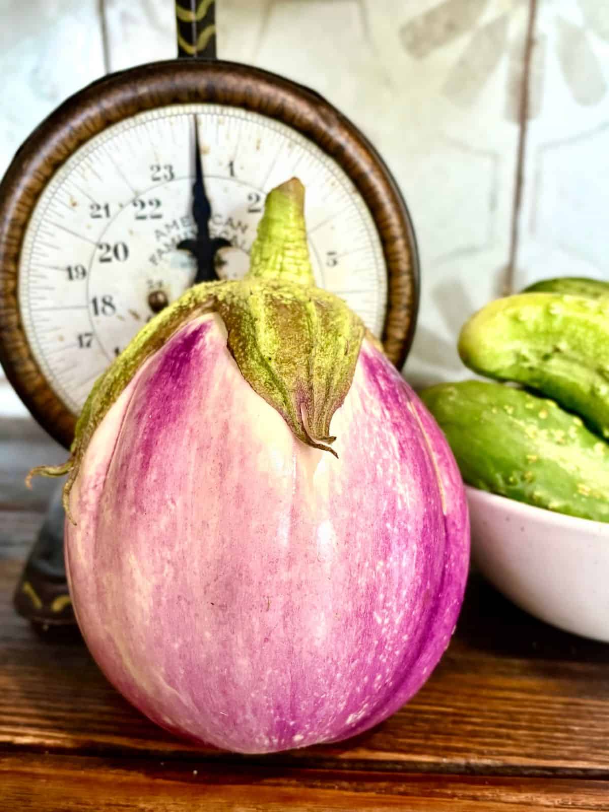 rosa bianca eggplant